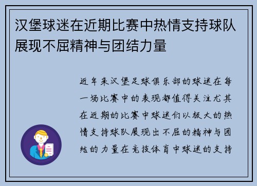 汉堡球迷在近期比赛中热情支持球队展现不屈精神与团结力量