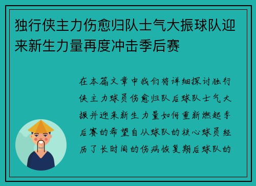 独行侠主力伤愈归队士气大振球队迎来新生力量再度冲击季后赛