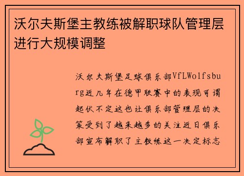 沃尔夫斯堡主教练被解职球队管理层进行大规模调整 沃尔夫斯堡主教练被解职球队管理层进行大规模调整
