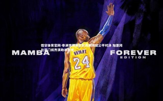 悟空体育官网-非洲世预赛匹配机制铸就公平对决 加蓬冈比亚门将齐演助攻奇观