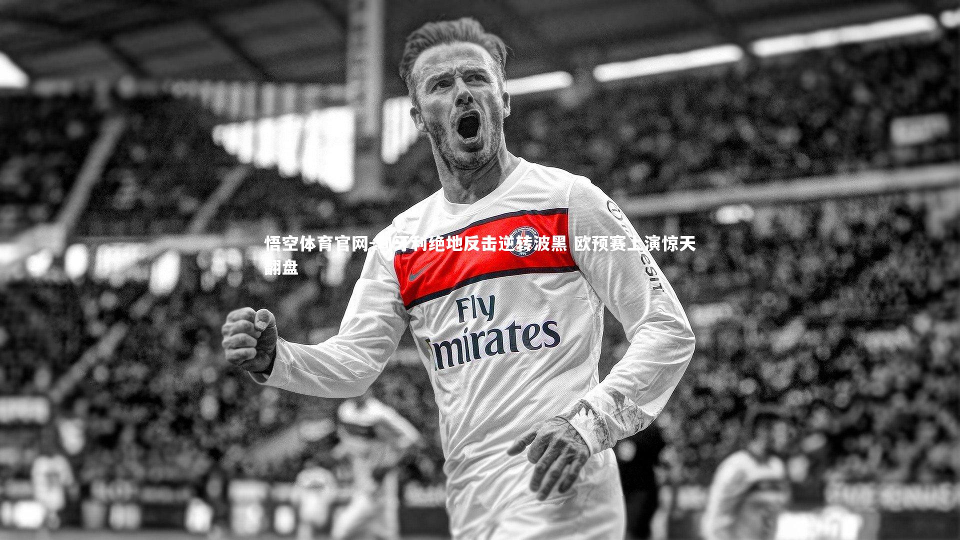 悟空体育官网-匈牙利绝地反击逆转波黑 欧预赛上演惊天翻盘-第2张图片-悟空体育官网