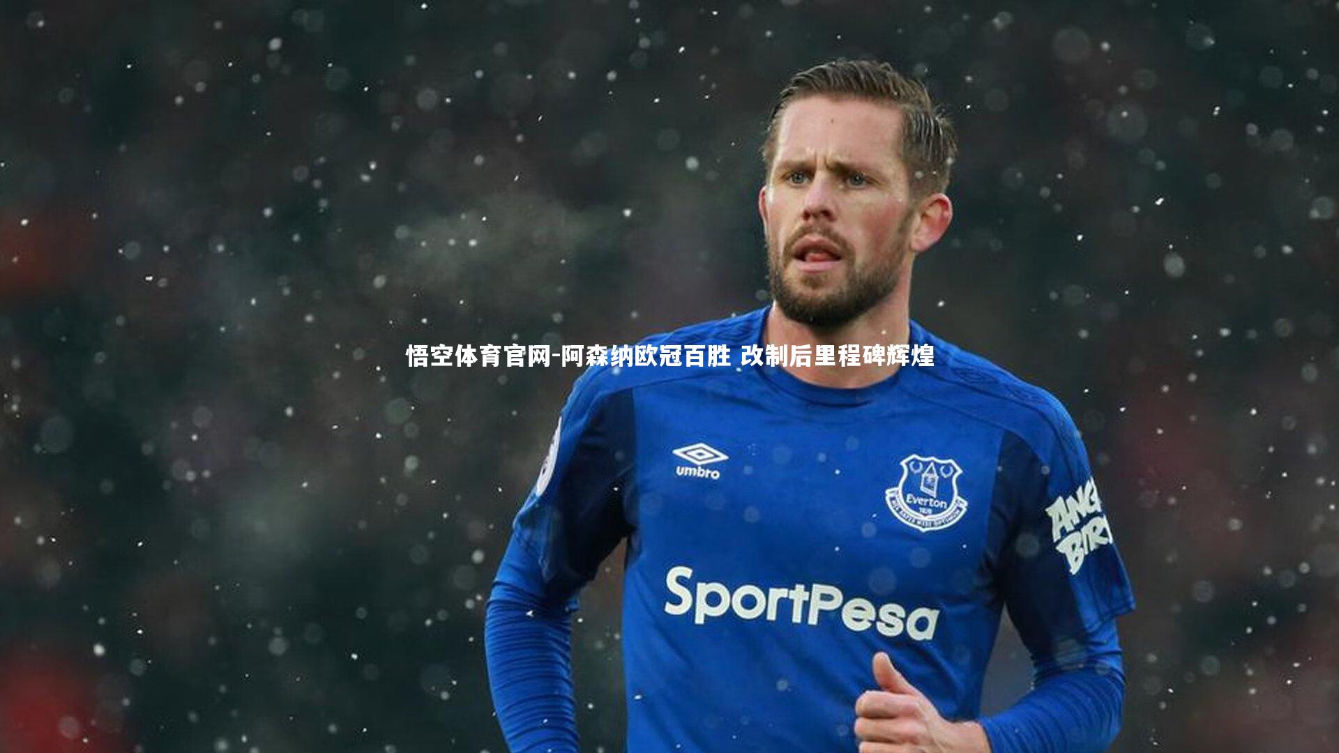 悟空体育官网-阿森纳欧冠百胜 改制后里程碑辉煌-第2张图片-悟空体育官网